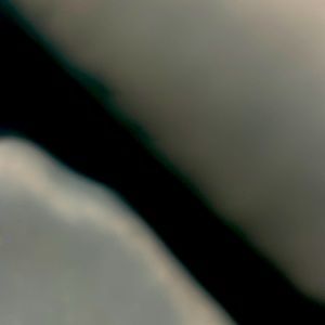 Meet your Posher, Taelyn